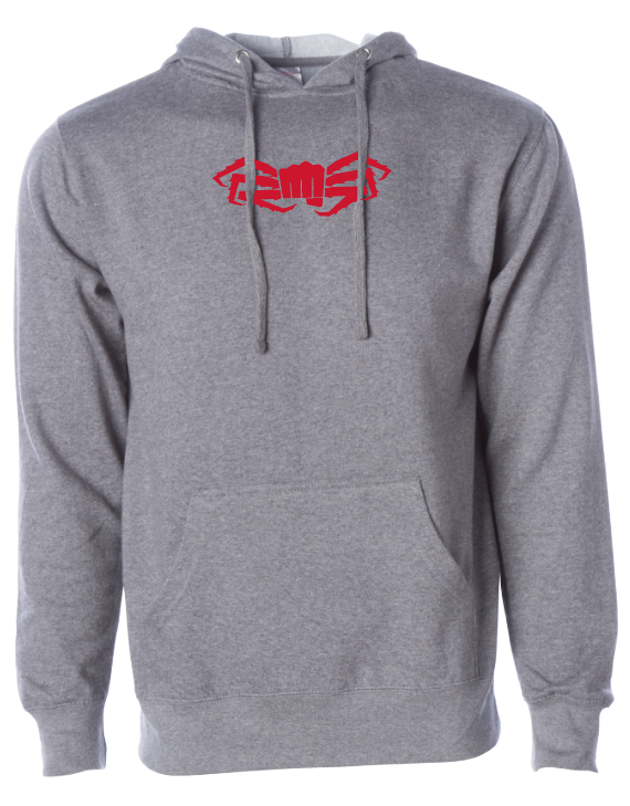Icon Hoodie
